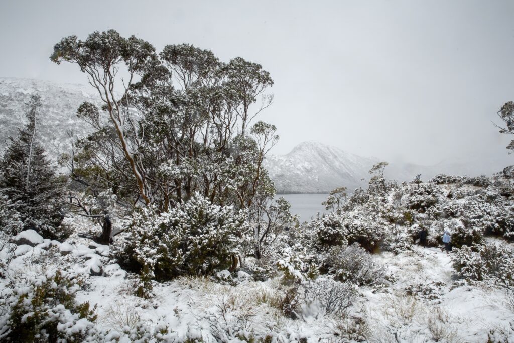 Dove Lake, Tasmania in winter.